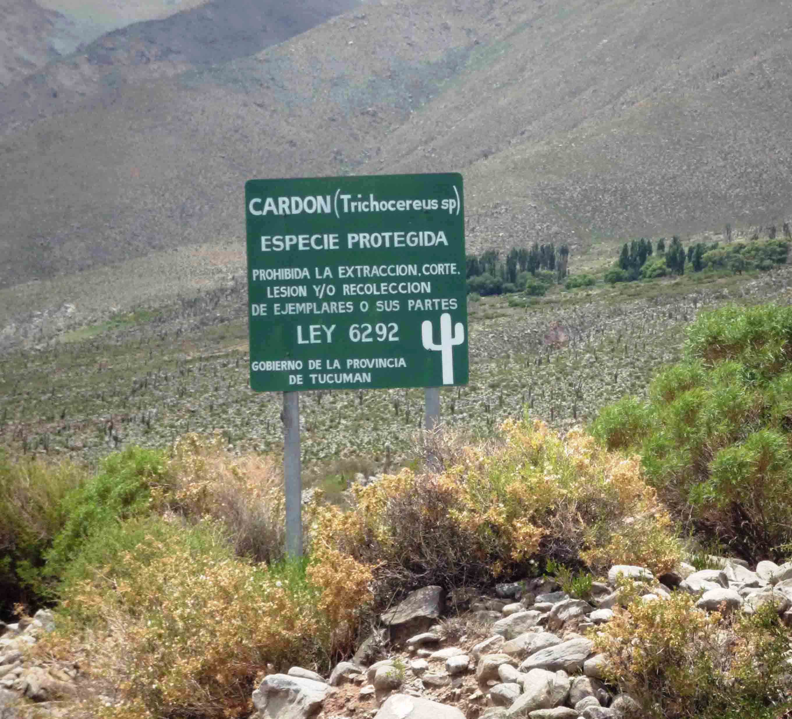 C tucuman amaicha del valle 7