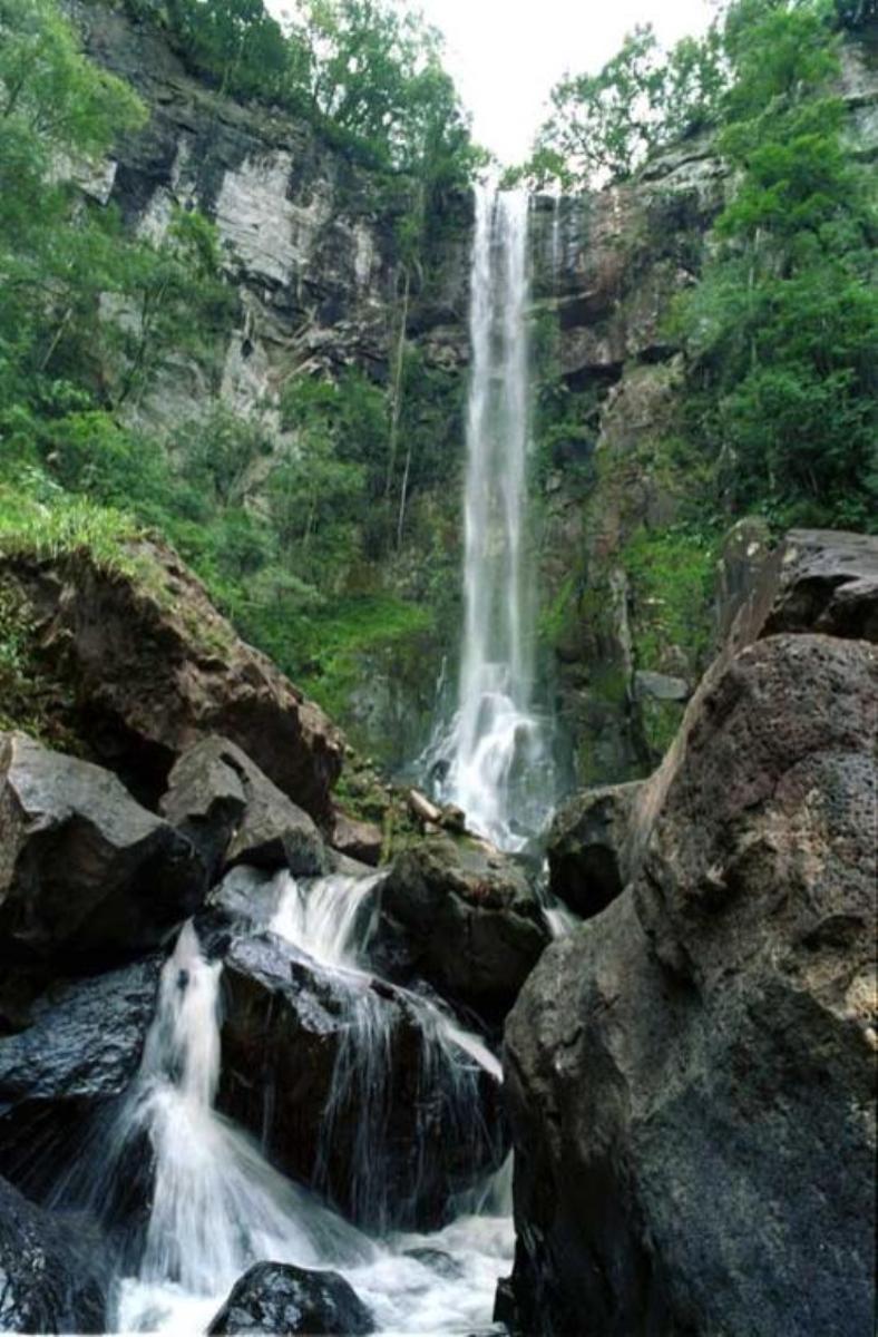 C misiones aristobulo del valle misiones 5