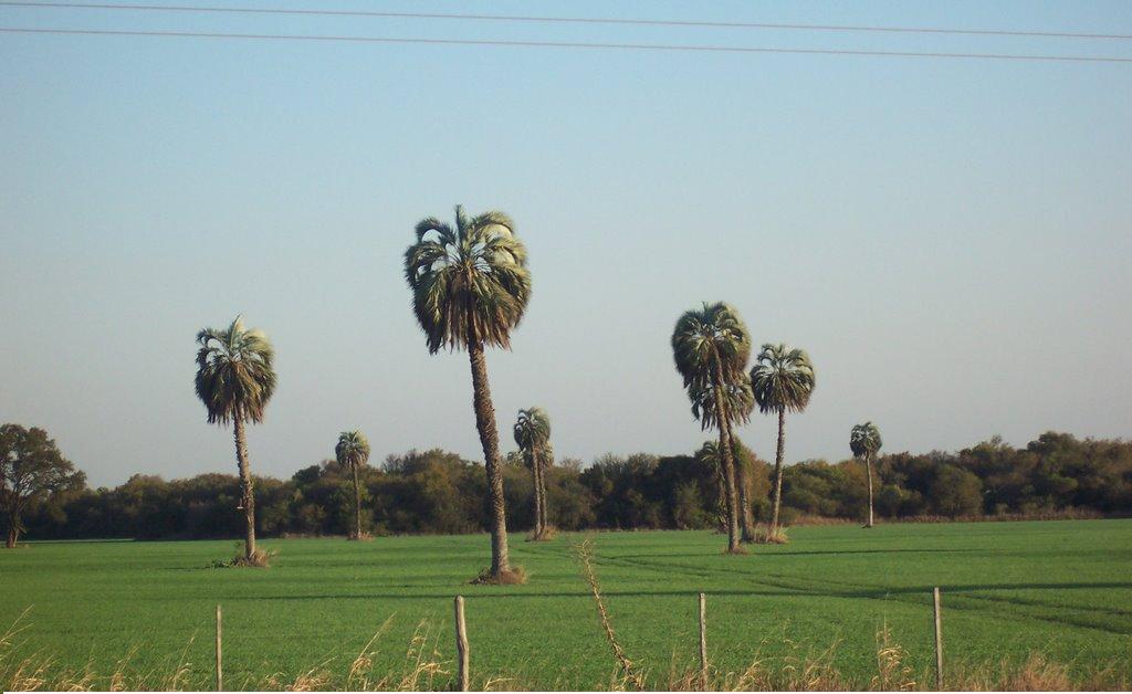 C santa fe arroyo seco santa fe 22