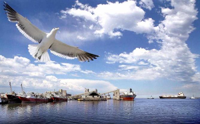 C buenos aires bahia blanca 2