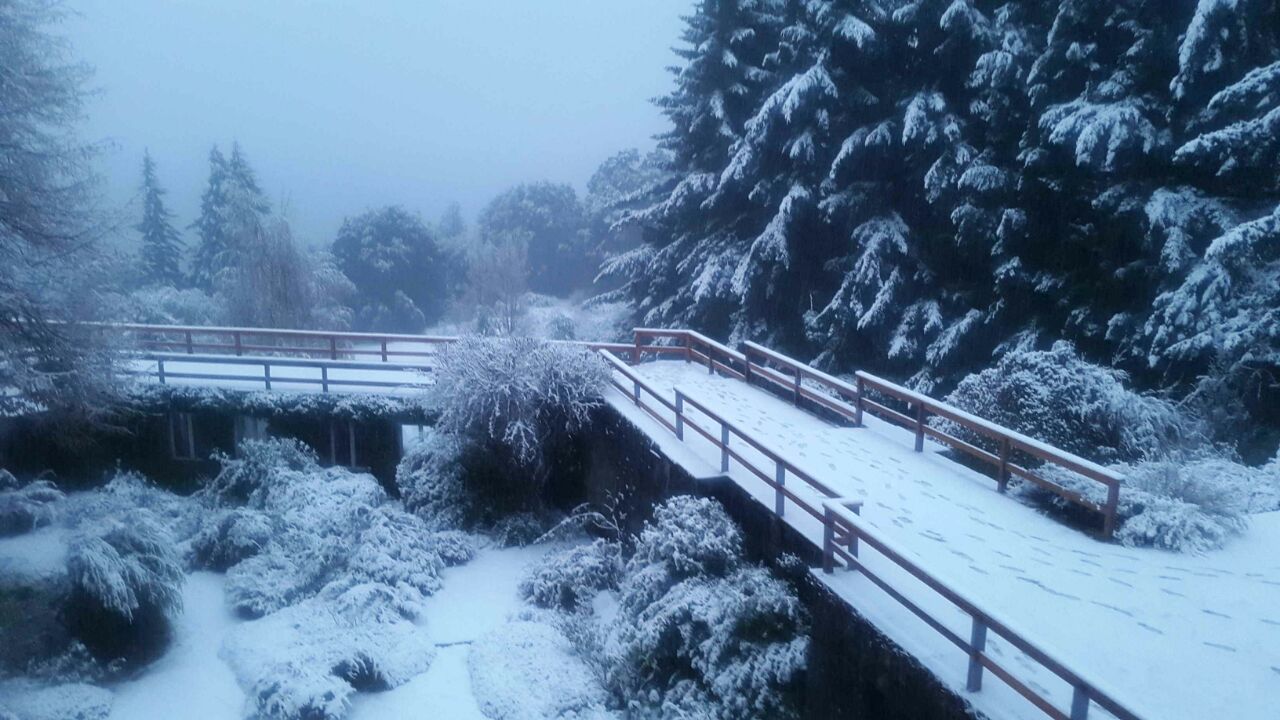 C rio negro bariloche 26