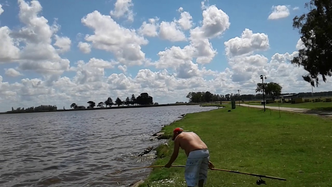 C buenos aires bragado buenos aires 5