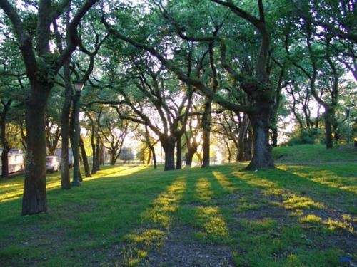 C misiones campo grande misiones 3
