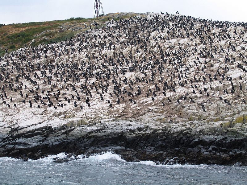 C tierra de fuego canal beagle 13