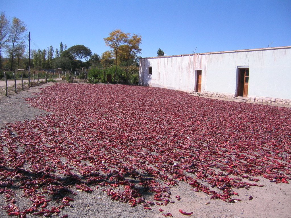 C provincias catamarca argentina 39