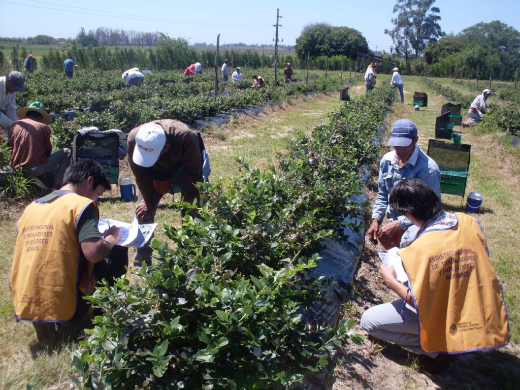 C provincias catamarca argentina 45