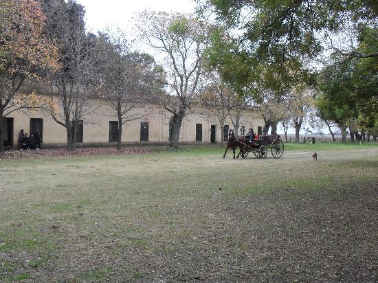 C buenos aires chivilcoy 15