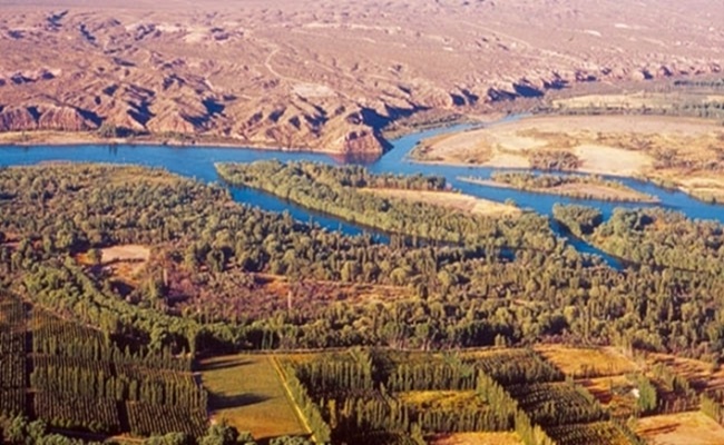 C rio negro cipolletti 5