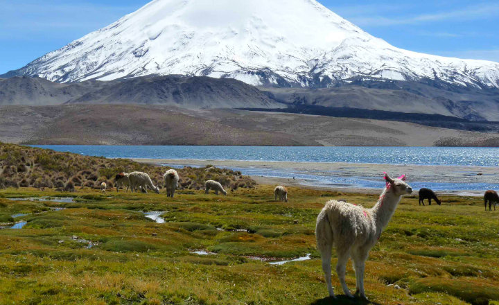 C generalidades del pais clima de argentina 24