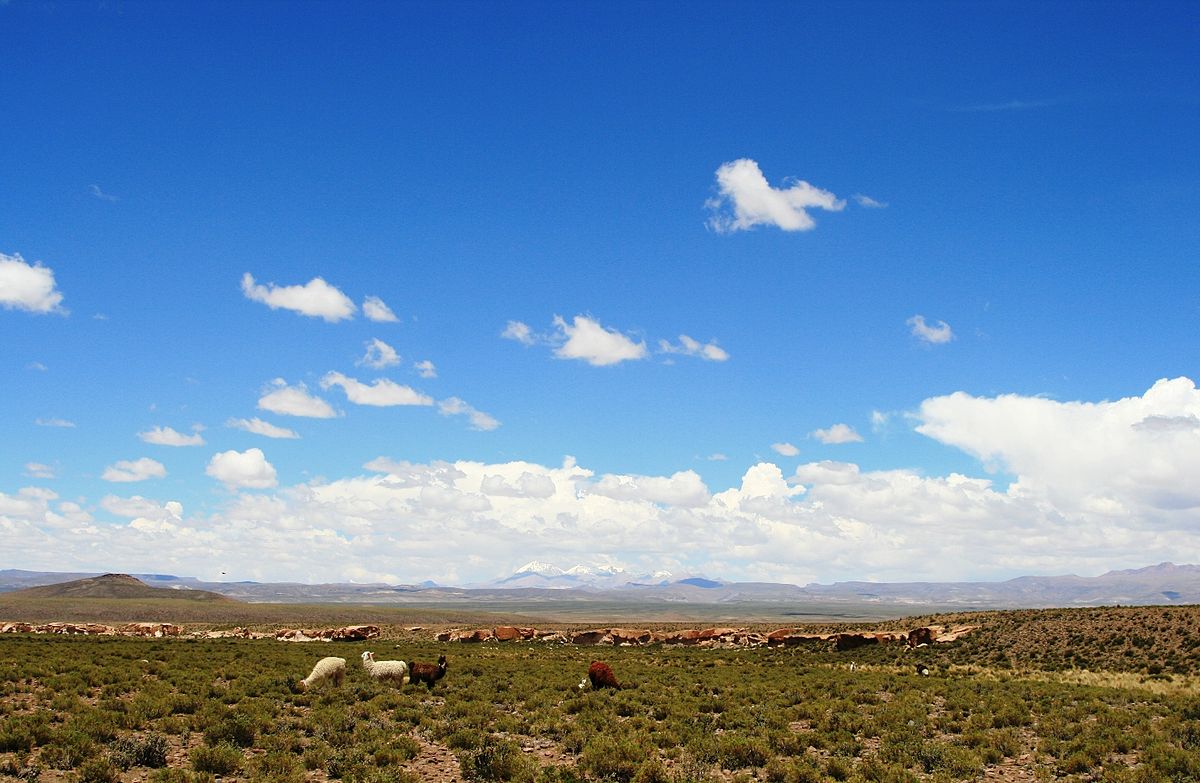 Clima de Argentina: características, patagonia, noroesten Antártida y más