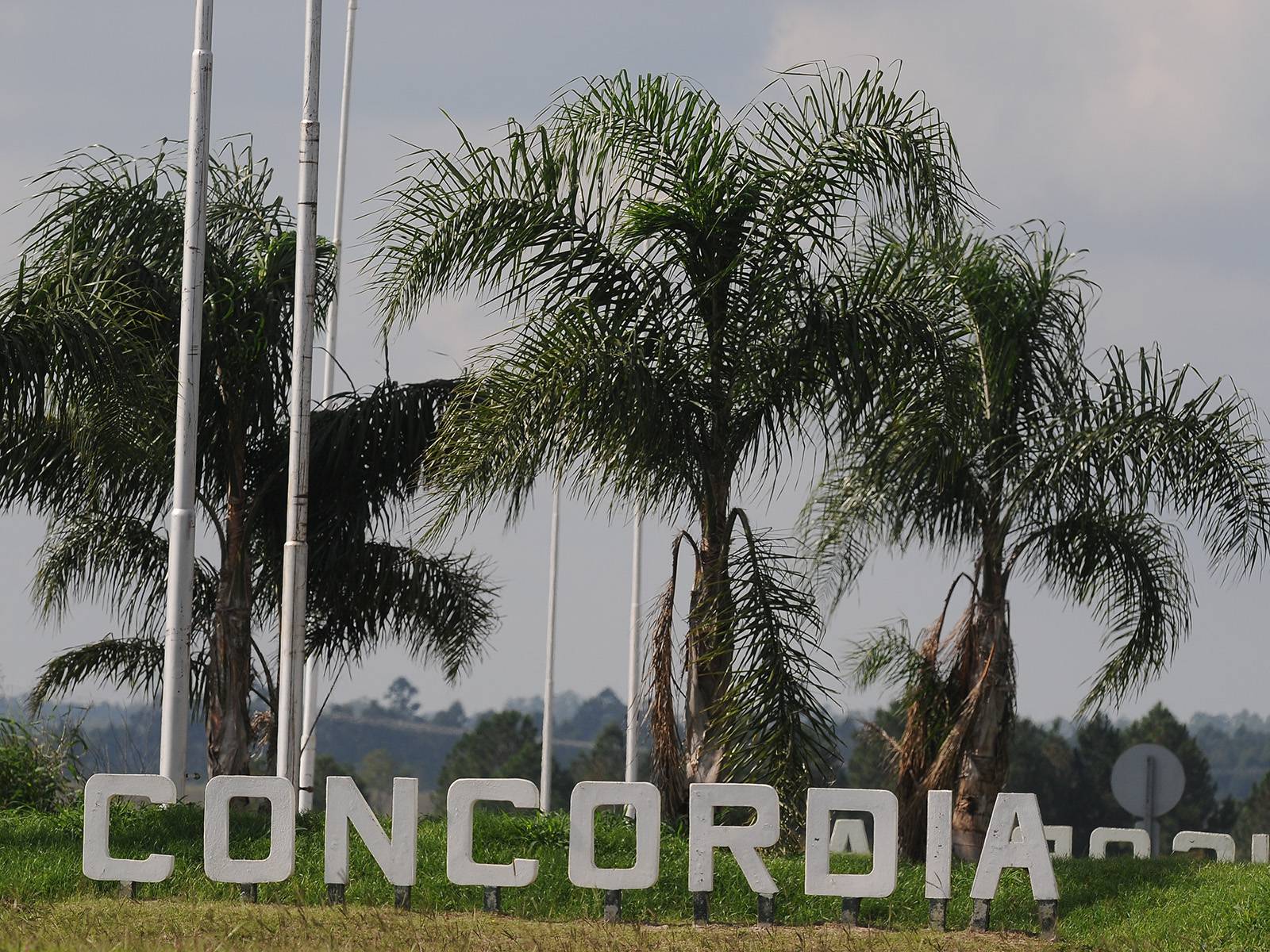 Concordia Entre Ríos: historia, turismo, playas, habitantes y más
