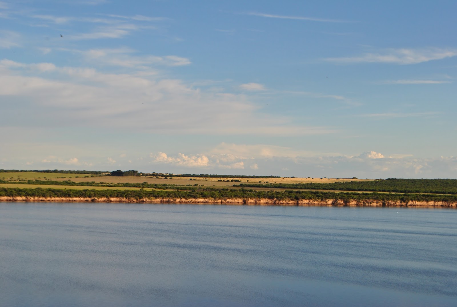 C la pampa guatrache 5