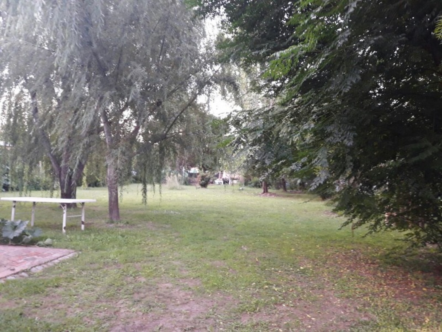 C cordoba salsacate 5