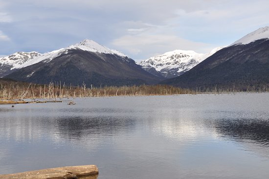 C tierra de fuego lago fagnano 1