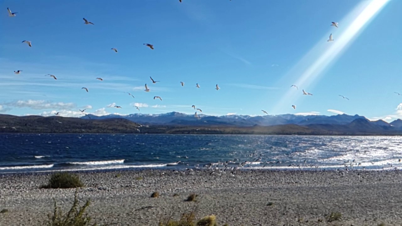 C rio negro dina huapi 5