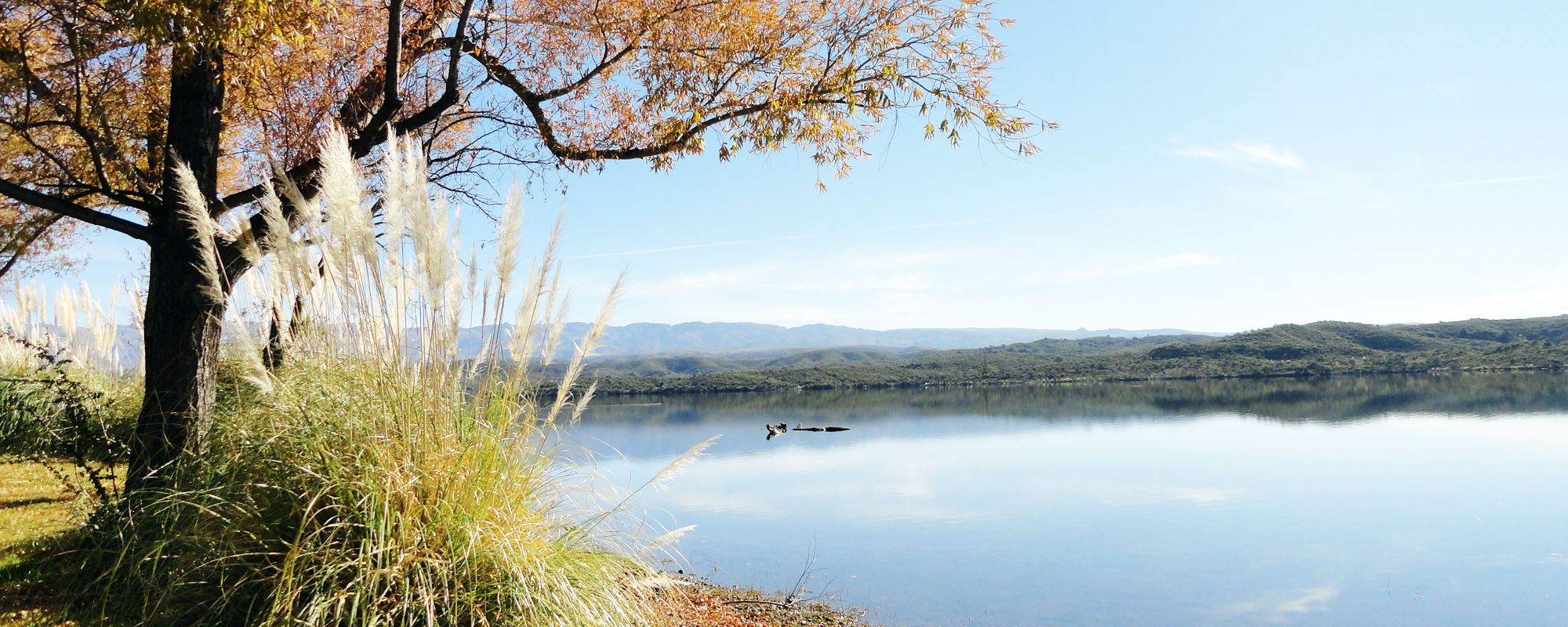 El Trapiche San Luis lo que aun no sabes de esta localidad de Argentina