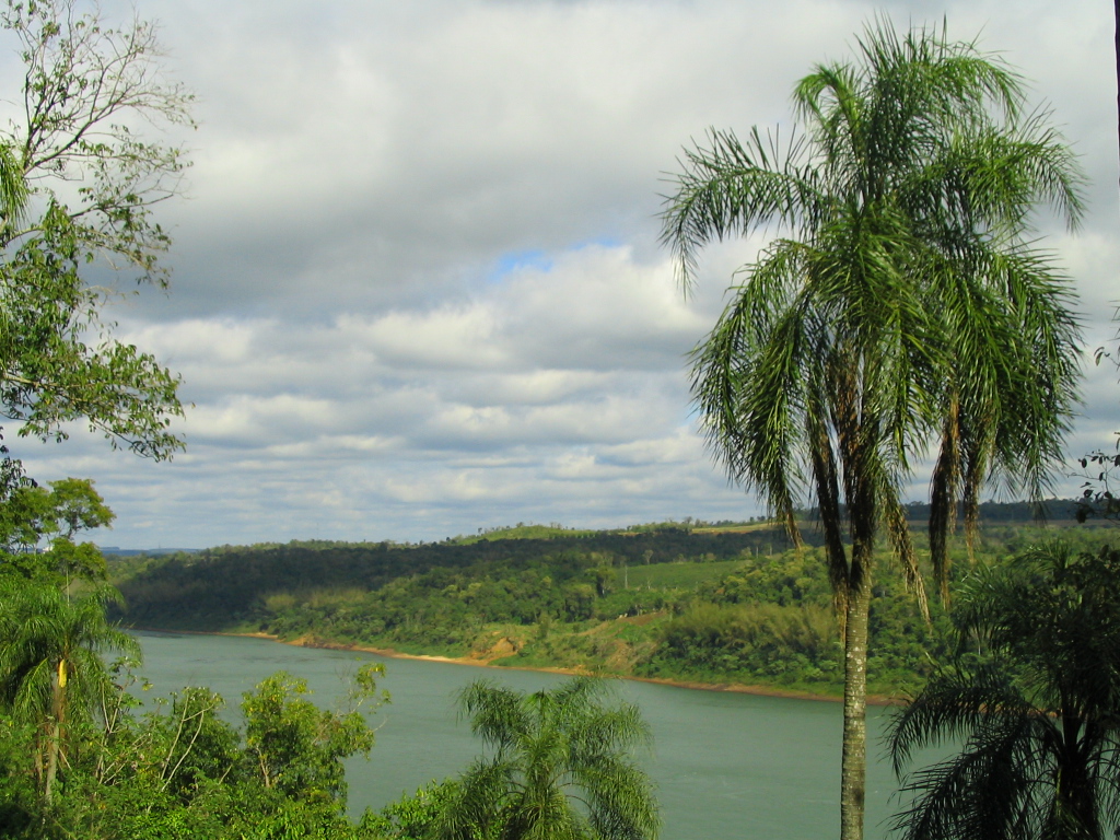 Eldorado Misiones: historia, turismo, clima, barrios y más