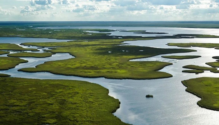 C corrientes esteros del ibera 2