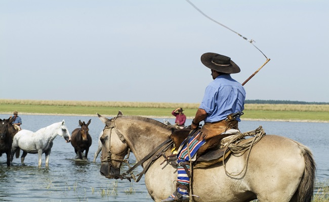 C corrientes esteros del ibera 8