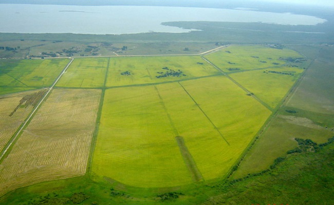C corrientes esteros del ibera 10