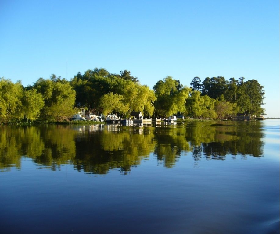 C generalidades del pais flora y fauna de argentina 8
