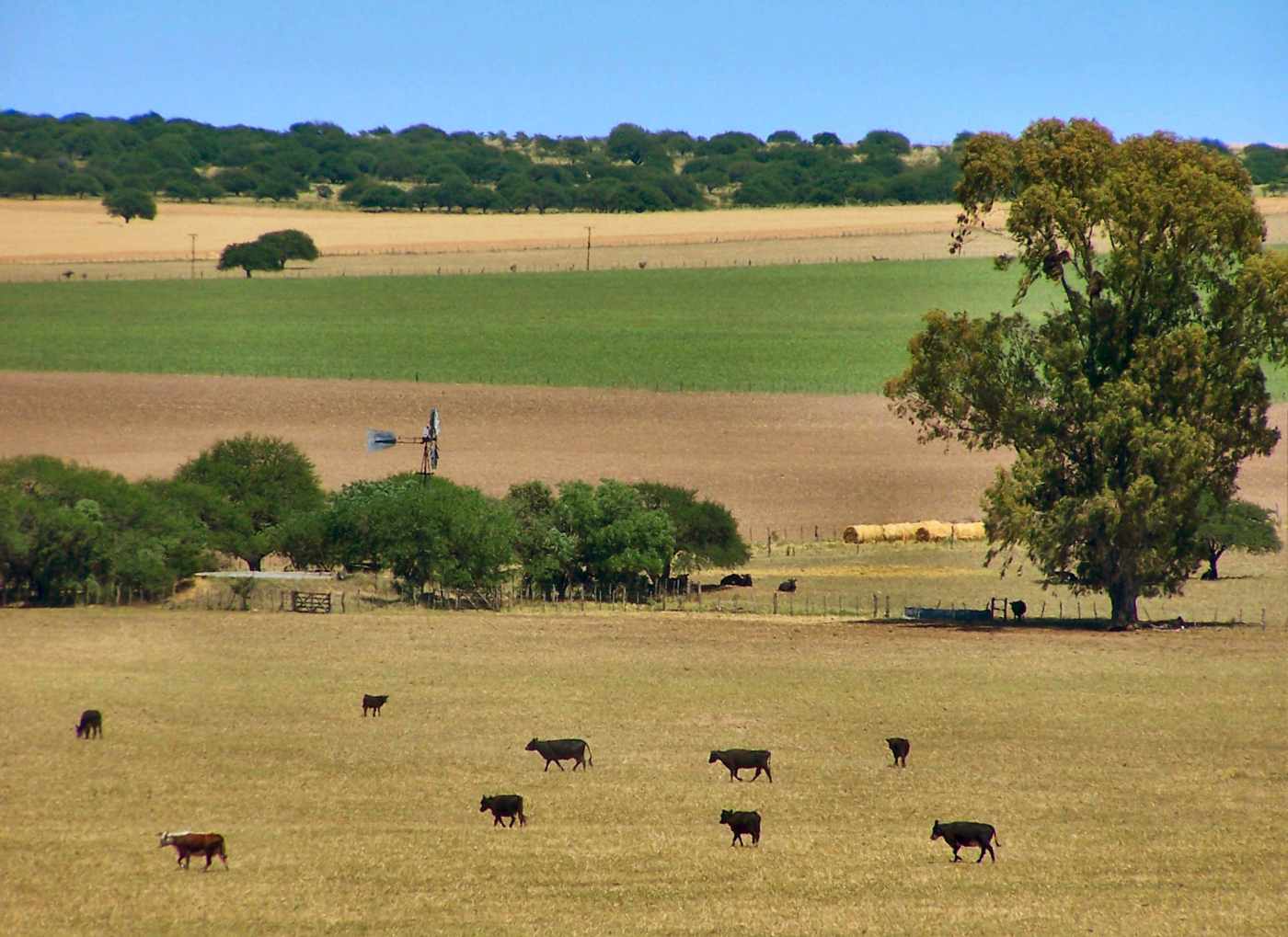 C generalidades del pais flora y fauna de argentina 22