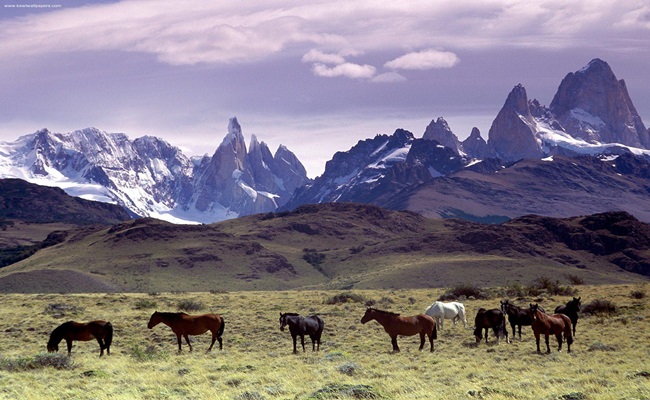 C santa cruz glaciar perito moreno 11