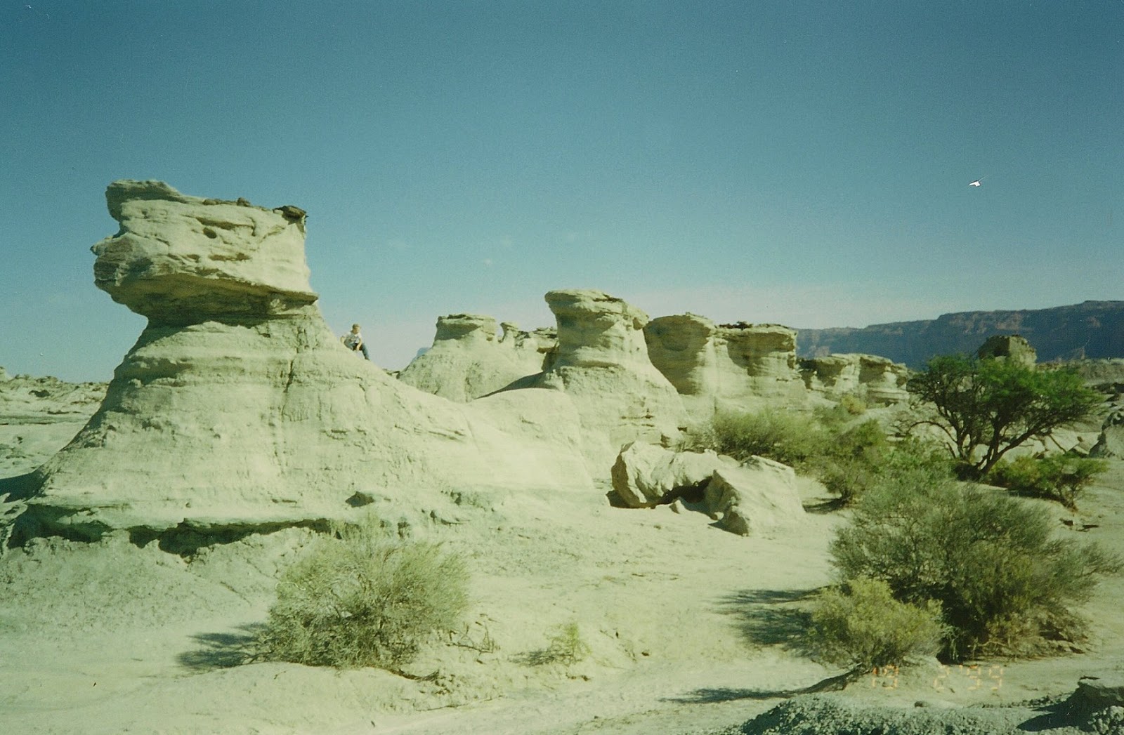 C san juan ischigualasto 9