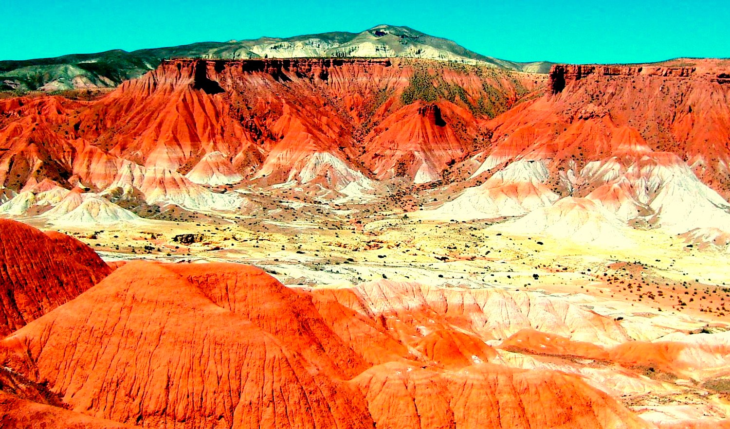 C san juan ischigualasto 5