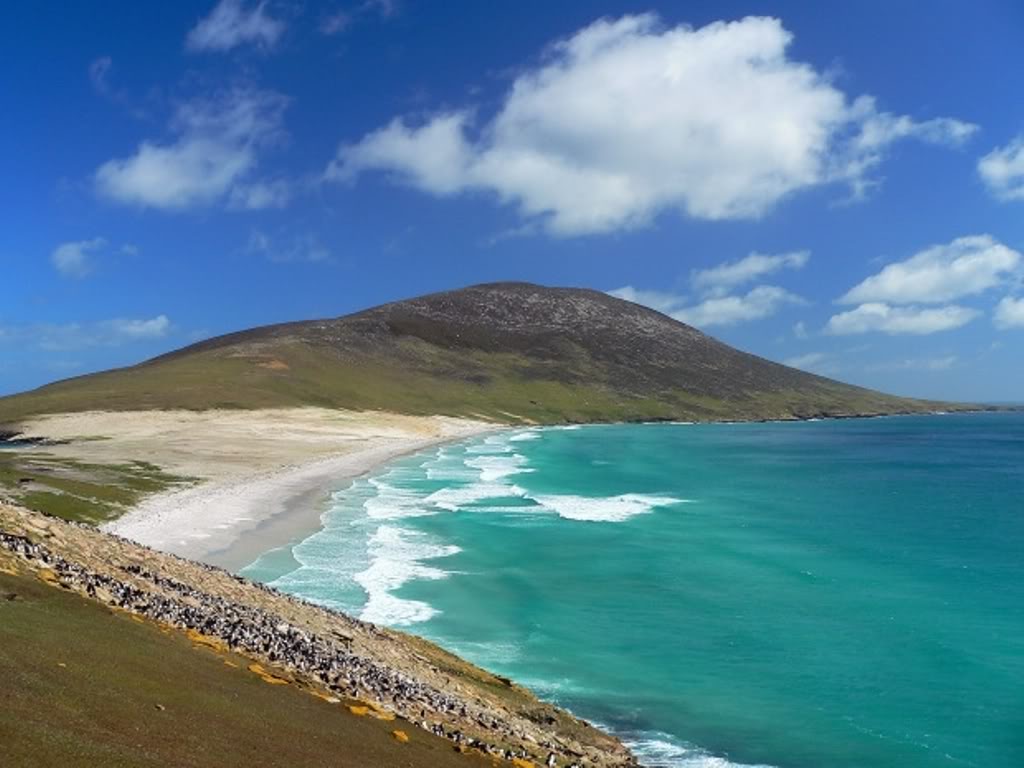 C generalidades del pais islas malvinas 49