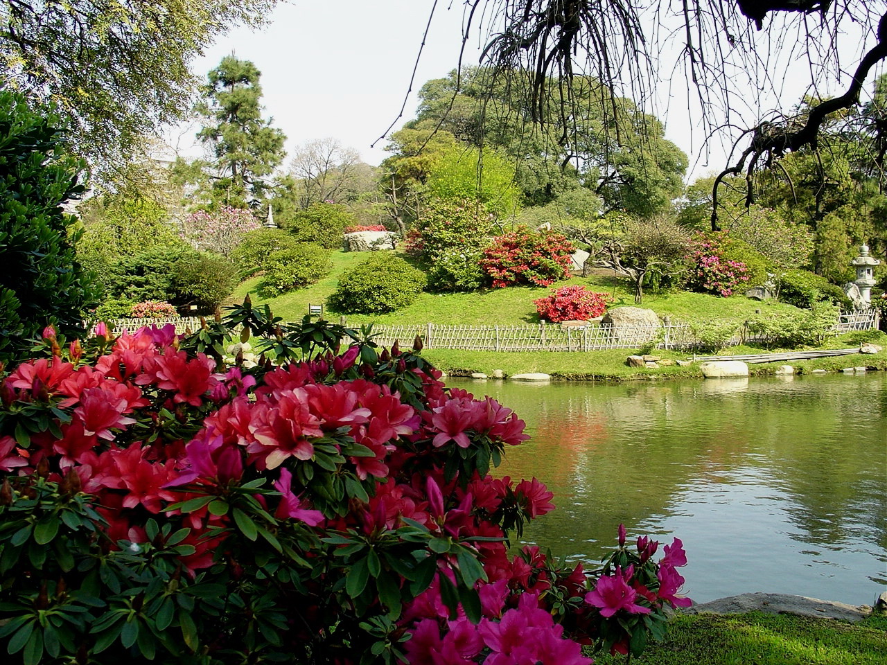 C buenos aires jardin japones buenos aires 4