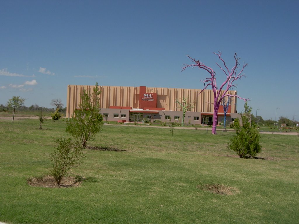 C san luis la punta san luis 5