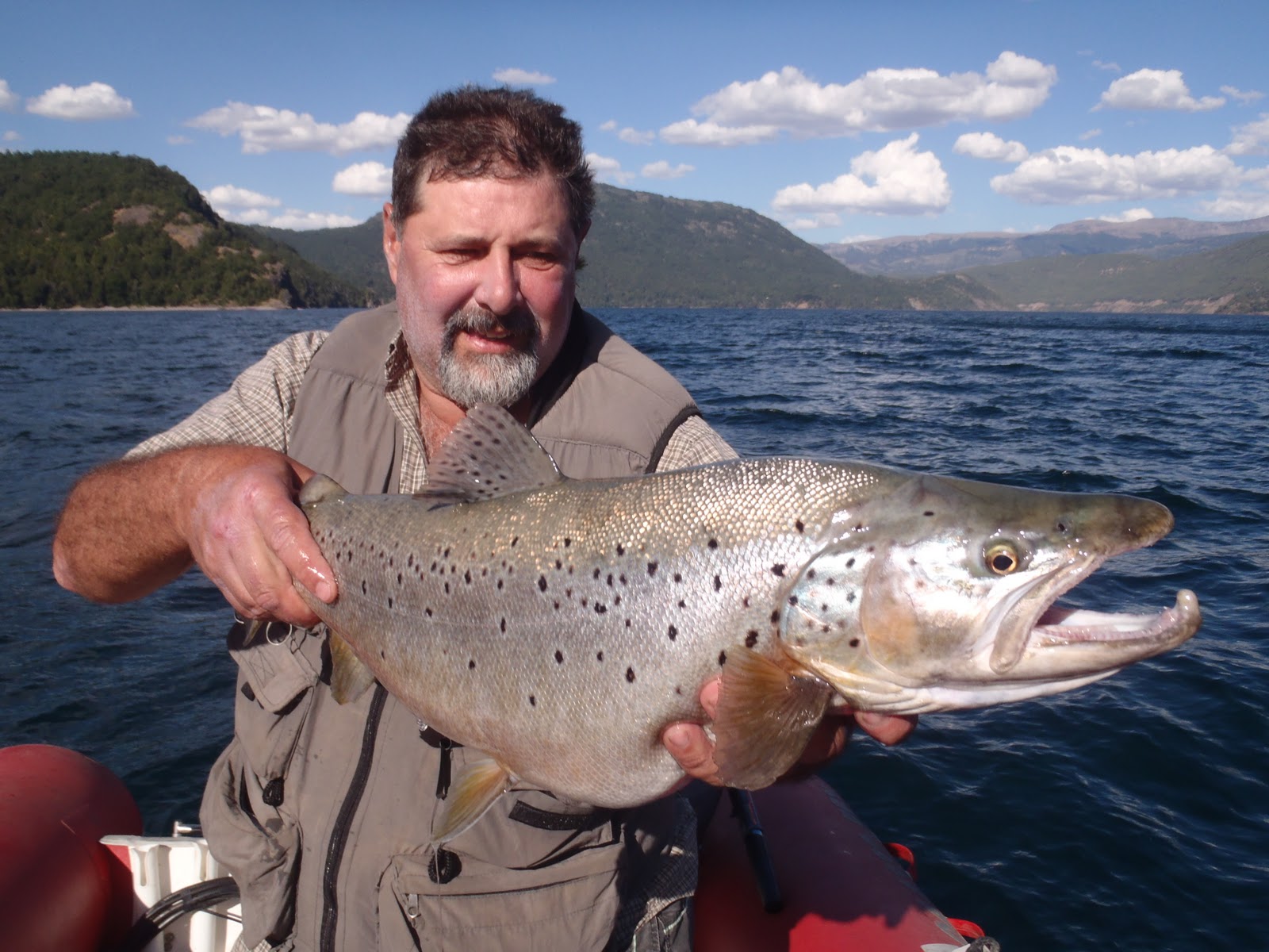 C neuquen lago lacar 7