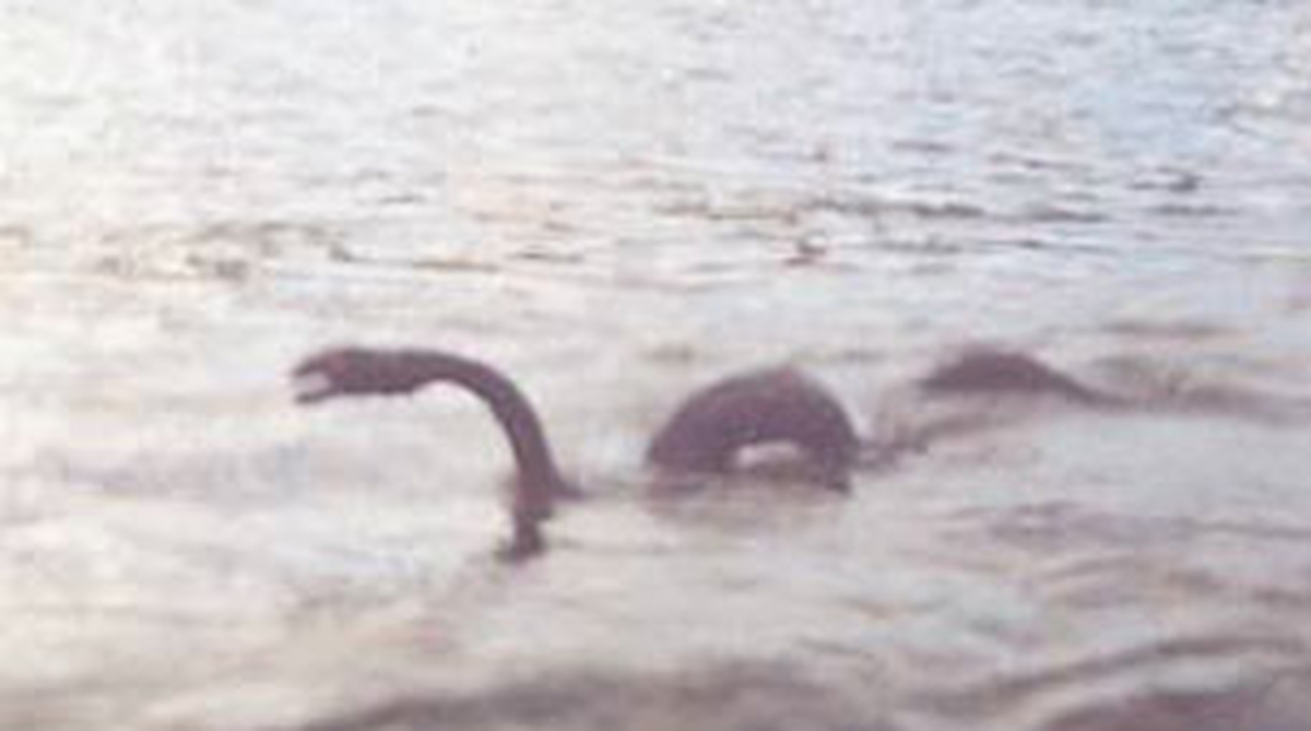 C rio negro lago nahuel huapi 4
