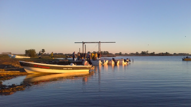 C buenos aires laguna alsina 1