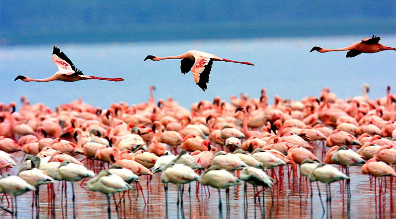C jujuy laguna de los pozuelos 4