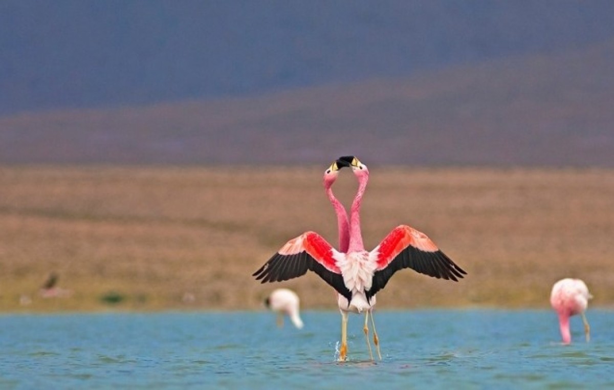 C jujuy laguna de los pozuelos 1