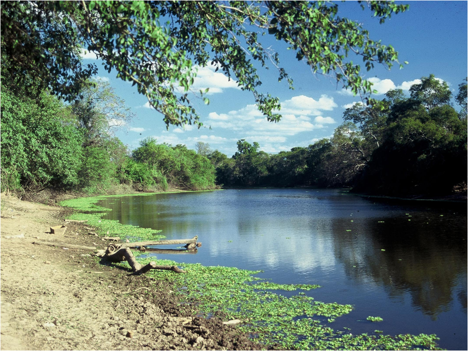 C chaco margarita belen 3