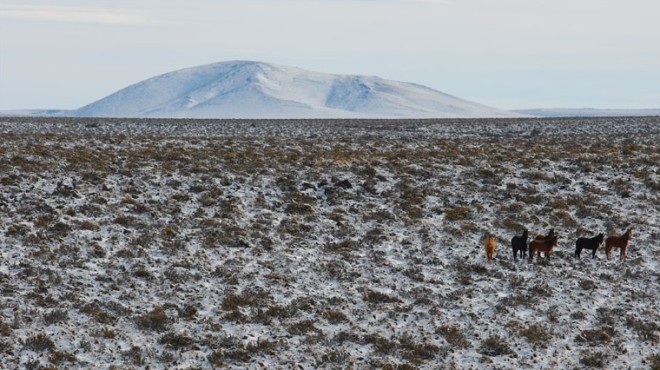 C zona austral meseta patagonica 7