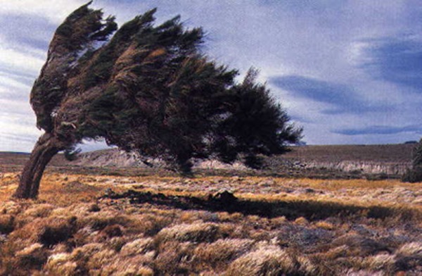 C zona austral meseta patagonica 12
