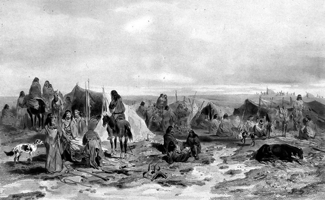 C zona austral meseta patagonica 14