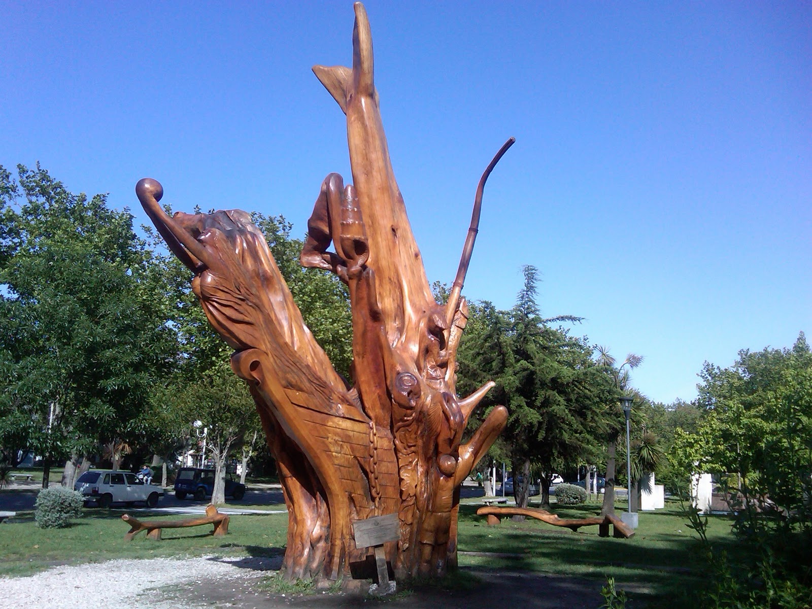 C buenos aires miramar buenos aires 7