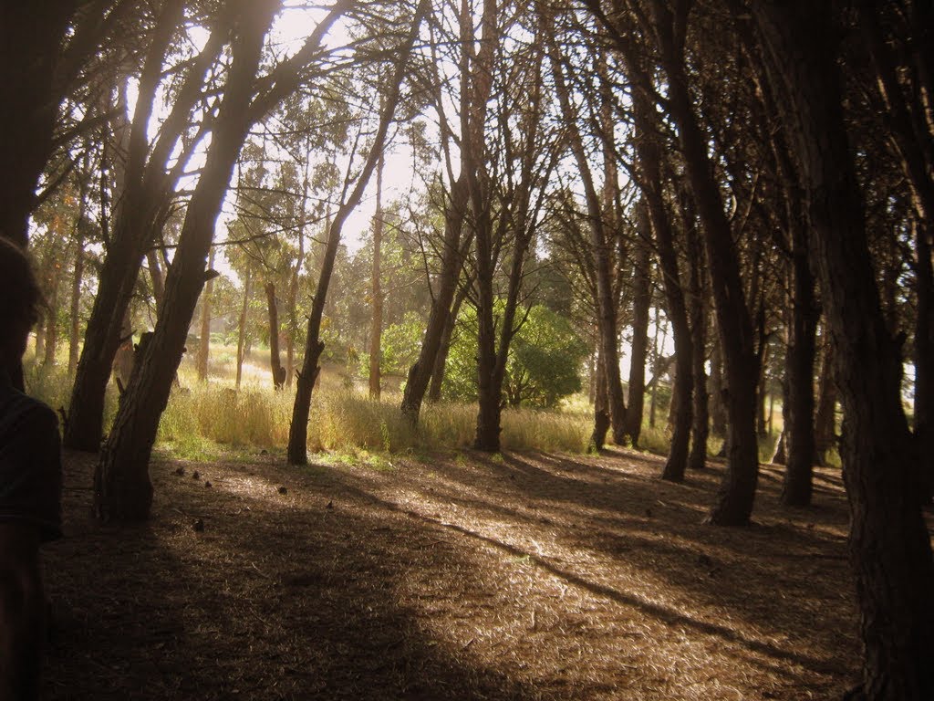C buenos aires miramar buenos aires 8