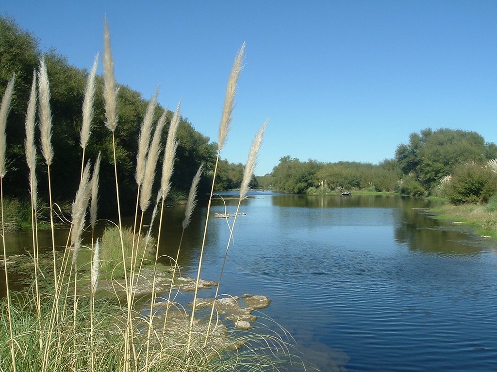 C buenos aires monte hermoso buenos aires 8
