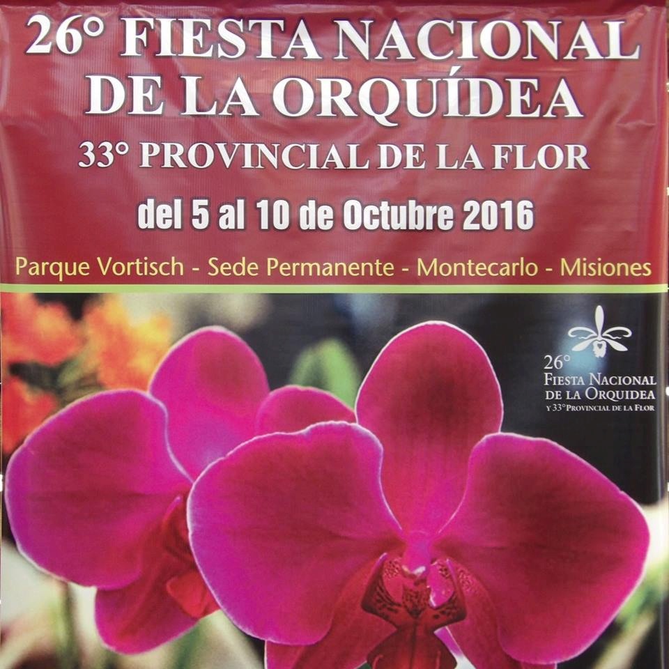 C misiones montecarlo misiones 5