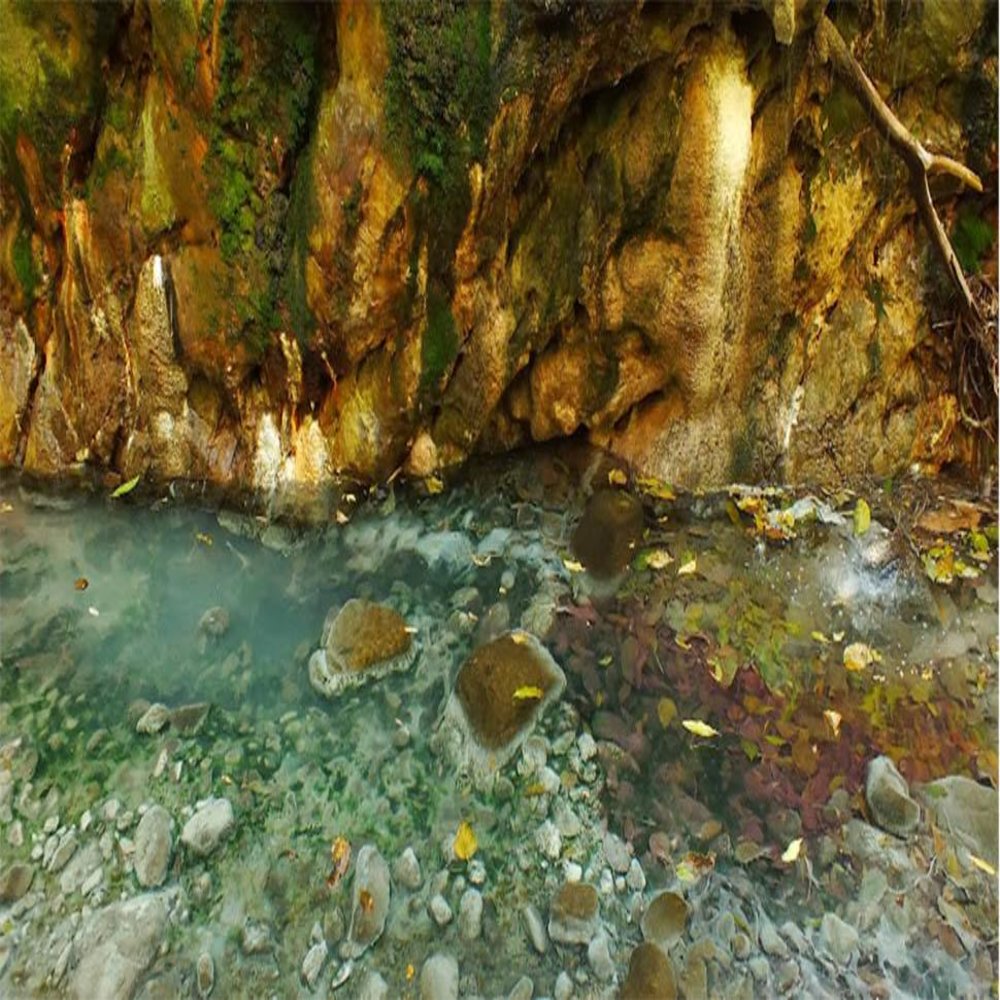 C salta parque nacional baritu 8