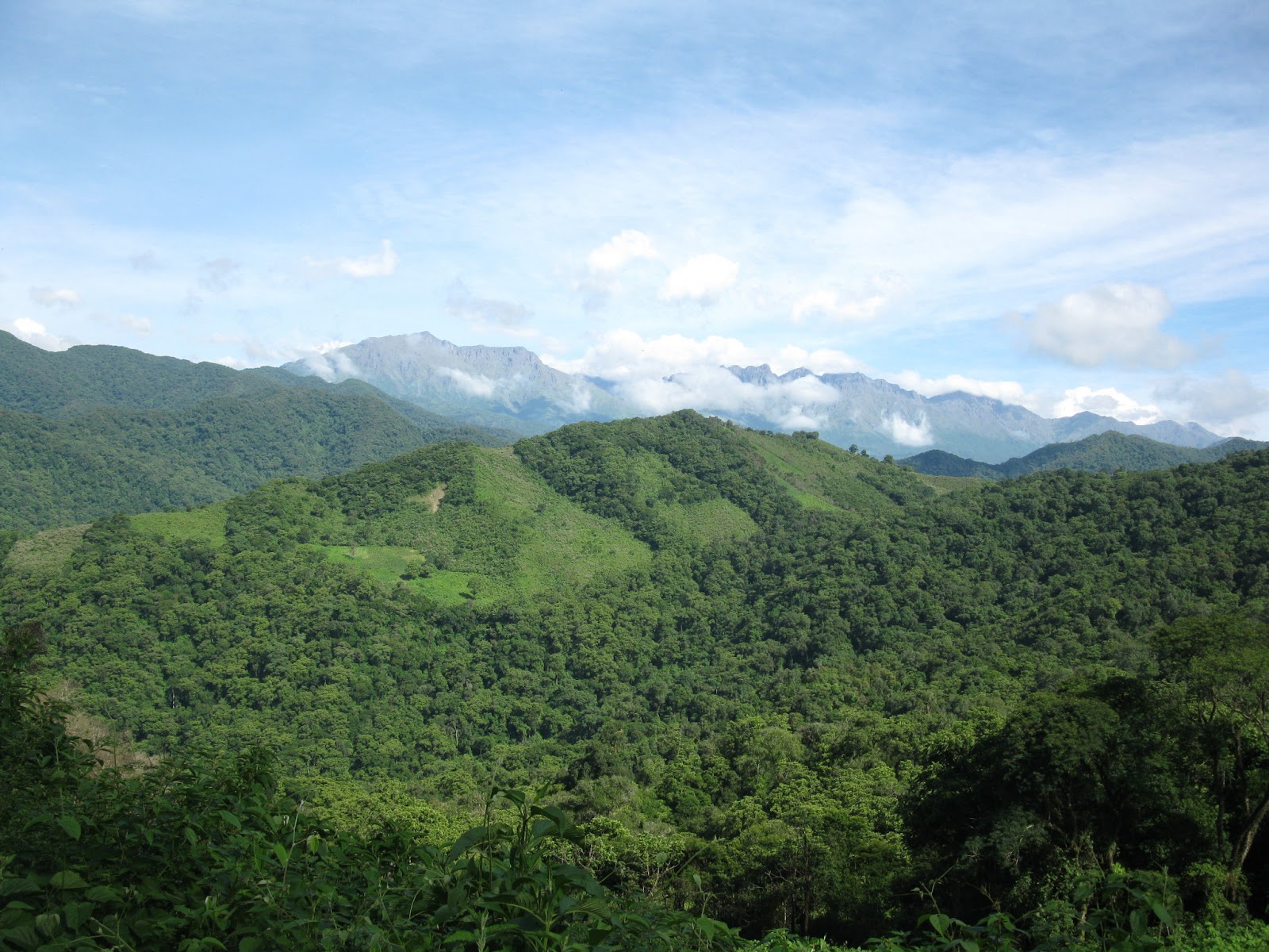 C salta parque nacional baritu 3