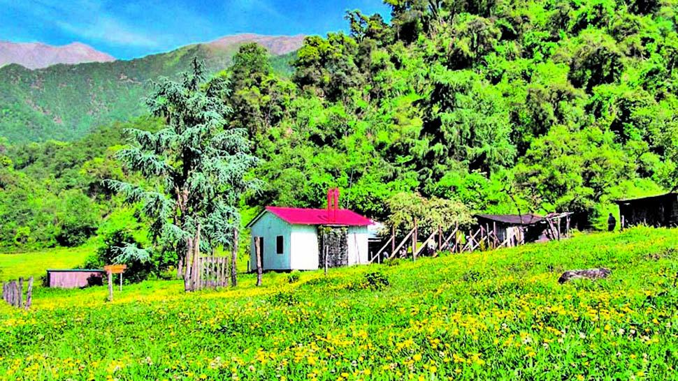 Parque Nacional Campo de los Alisos: historia, clima, flora, fauna y más