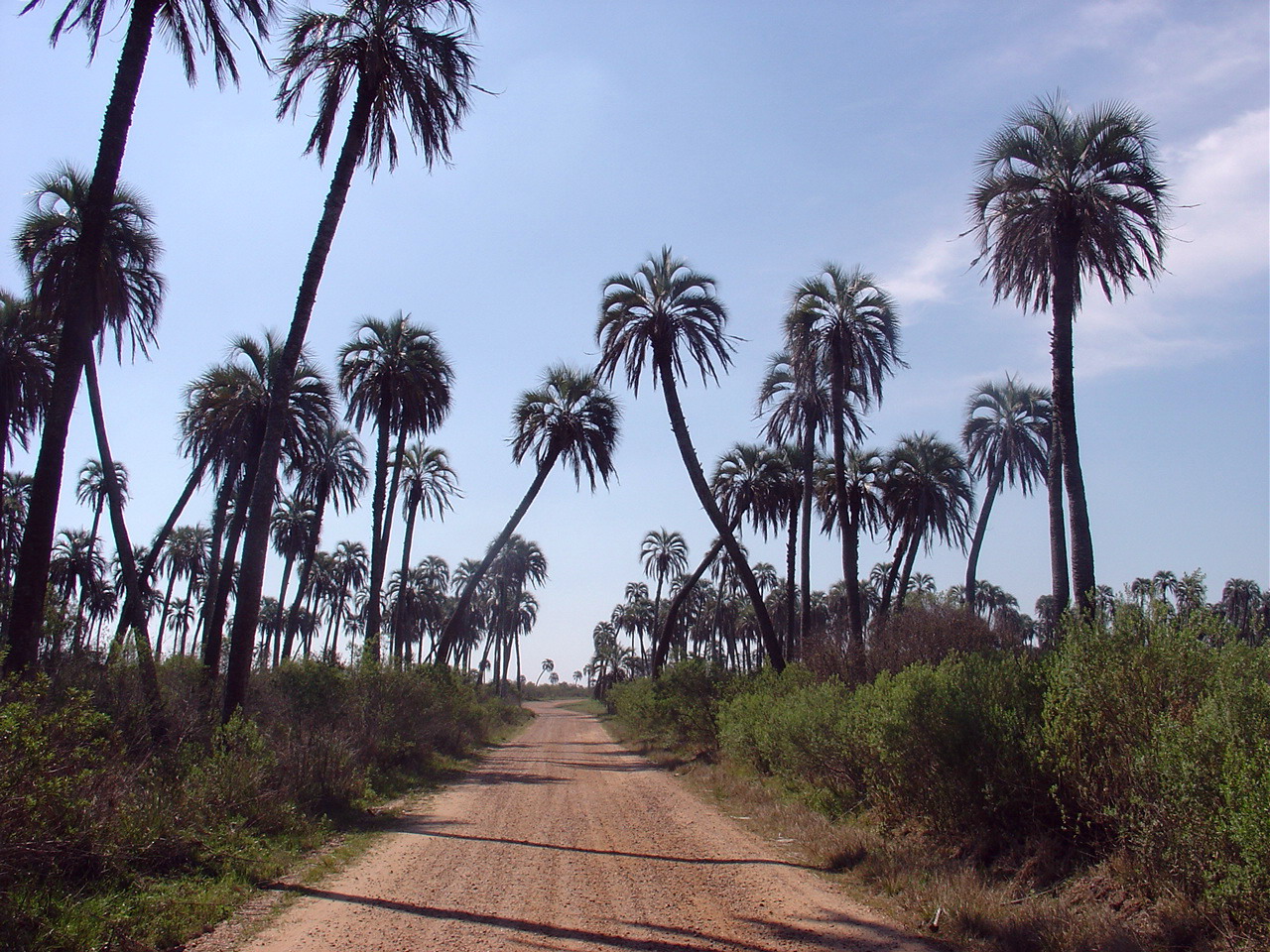 C entre rios parque nacional el palmar 2
