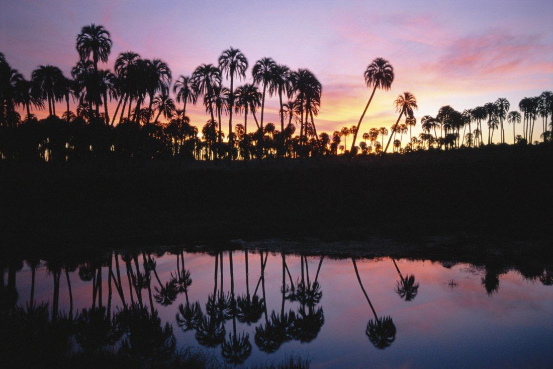 C entre rios parque nacional el palmar 8